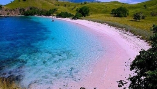 Top 10 Wonderful Pink Beaches in the World | Netsuggest.com